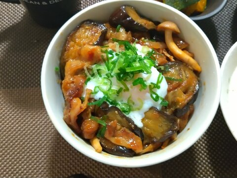 ナスと豚のスタミナ丼